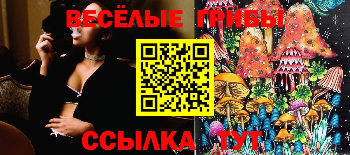 Галлюциногенные грибы Cubensis Ступино