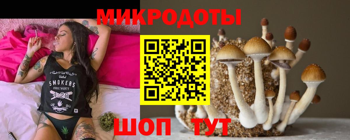 Псилоцибиновые грибы прущие грибы  Галлюциногенные грибы Psilocybine cubensis  магазин продажи   Ступино  Вход с VPN 